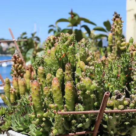 Apartment 4442a Lumbarda