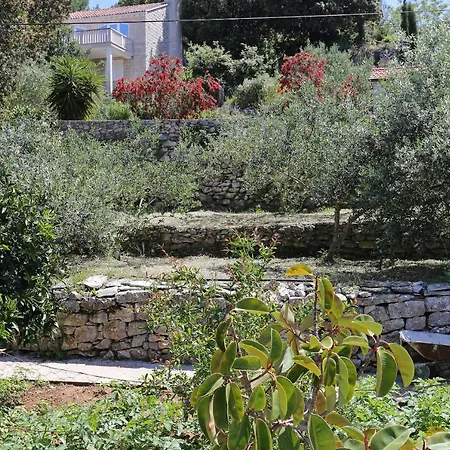 4442a לומבארדה