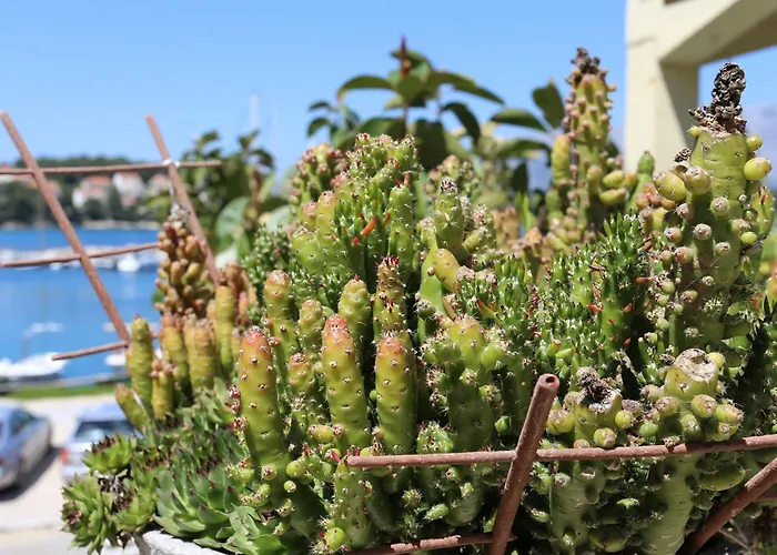 아파트 4442a 룸바르다